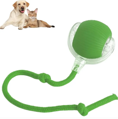 Smart Interactive Cat Ball by PETOVAA™ - BUY 1 GET 1 FREE