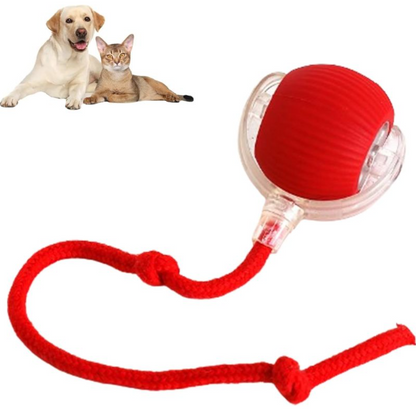 Smart Interactive Cat Ball by PETOVAA™ - BUY 1 GET 1 FREE