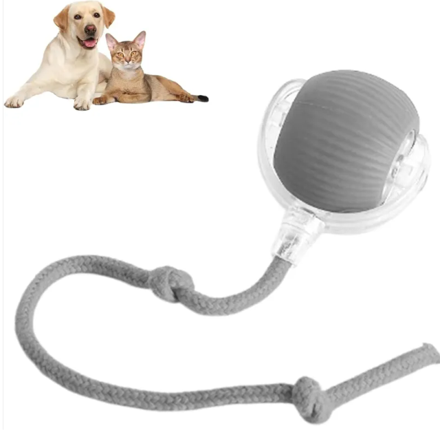 Smart Interactive Cat Ball by PETOVAA™ - BUY 1 GET 1 FREE