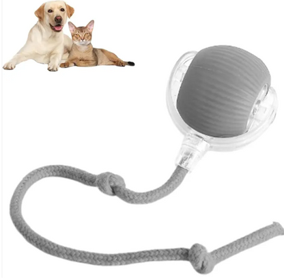 Smart Interactive Cat Ball by PETOVAA™ - BUY 1 GET 1 FREE