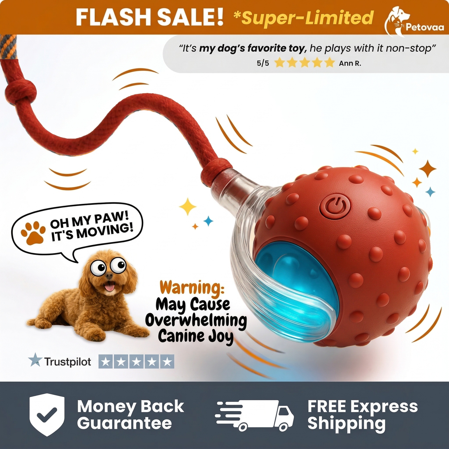 Smart Interactive Cat Ball by PETOVAA™ - BUY 1 GET 1 FREE