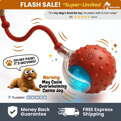 Smart Interactive Cat Ball by PETOVAA™ - BUY 1 GET 1 FREE