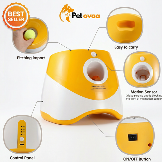 Petovaa™ Automatic Tennis Ball Launcher – Endless Fetch Fun for Dogs (Includes 3 Tennis Balls) 🎾🐶⚡