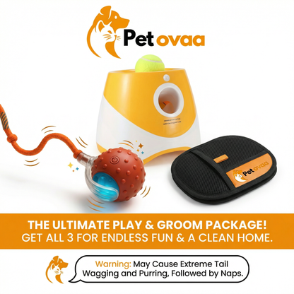 Petovaa™ Automatic Tennis Ball Launcher – Endless Fetch Fun for Dogs (Includes 3 Tennis Balls) 🎾🐶⚡