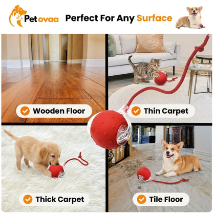 Smart Interactive Cat Ball by PETOVAA™ - BUY 1 GET 1 FREE