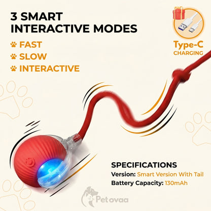 Smart Interactive Cat Ball by PETOVAA™ - BUY 1 GET 1 FREE